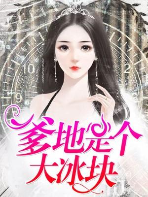 傻瓜王爷的杀手妃