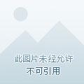 大唐连中三元，惊闻我父梦中斩龙