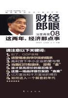 这两年,经济那点事(财经郎眼08)
