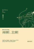 易中天中华史:南朝,北朝
