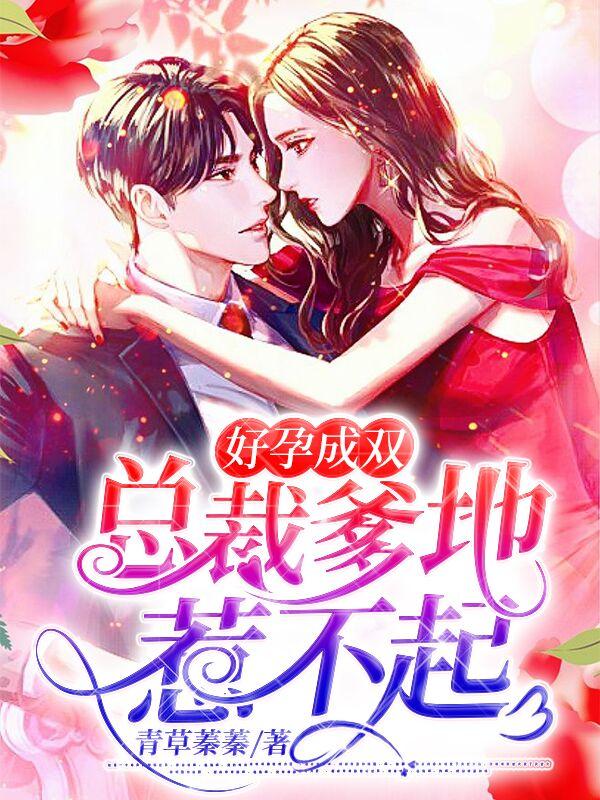 好孕成双,总裁爹地惹不起